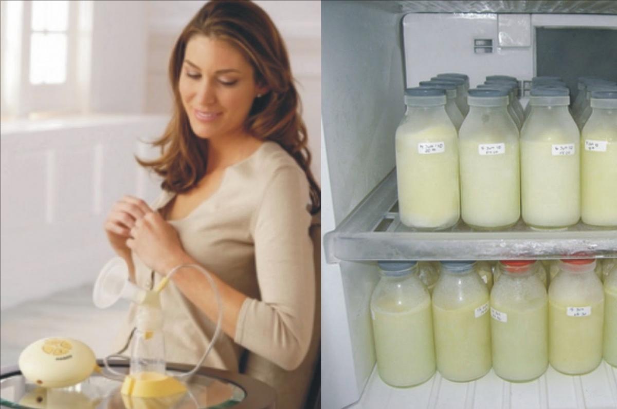 Сколько дней можно хранить грудное молоко в холодильнике?